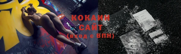 индика Беломорск