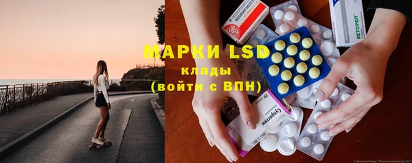 индика Беломорск
