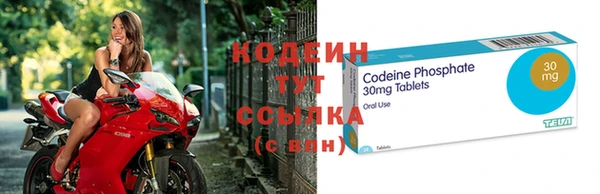 индика Беломорск