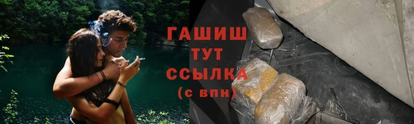 индика Беломорск