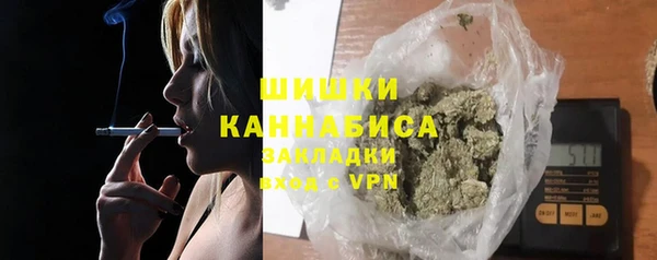 индика Беломорск