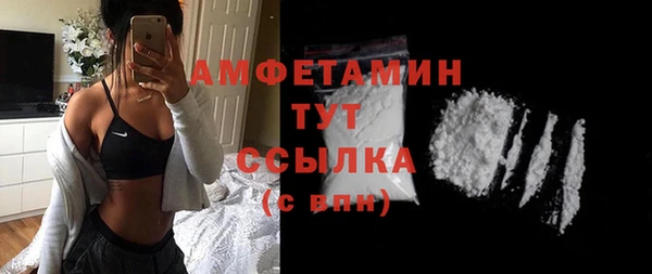 индика Беломорск