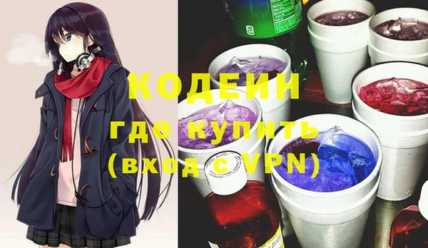 индика Беломорск