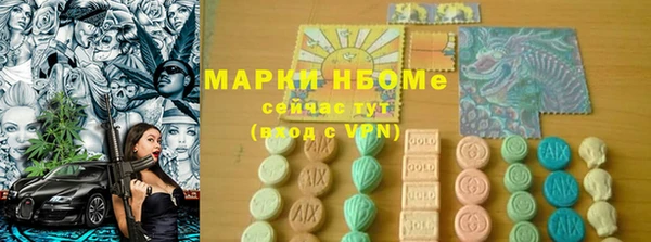 индика Беломорск