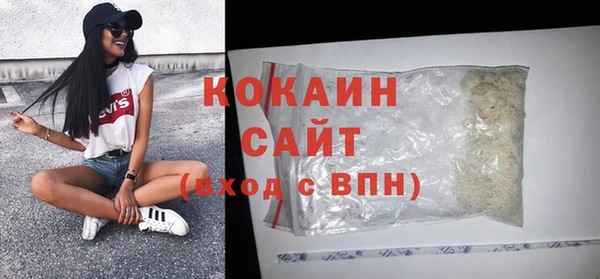 индика Беломорск
