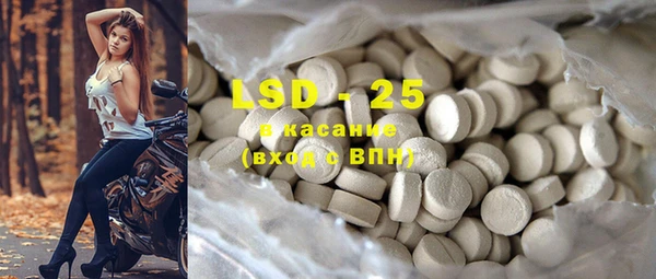 индика Беломорск