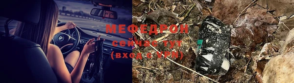 индика Беломорск