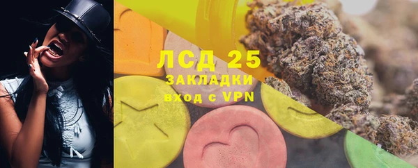 индика Беломорск