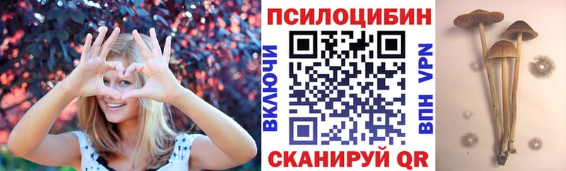 Псилоцибиновые грибы Cubensis  Окуловка 